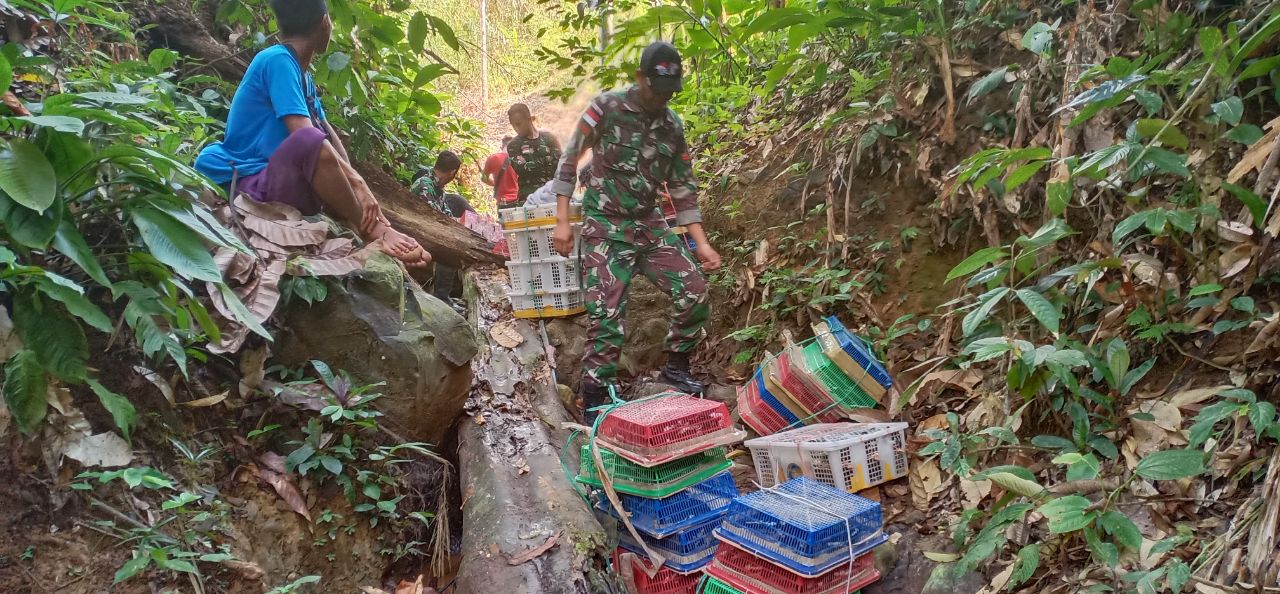 Jelang Purna Tugas, Satgas 643 Kembali Amankan 510 Burung Tanpa Dokumen