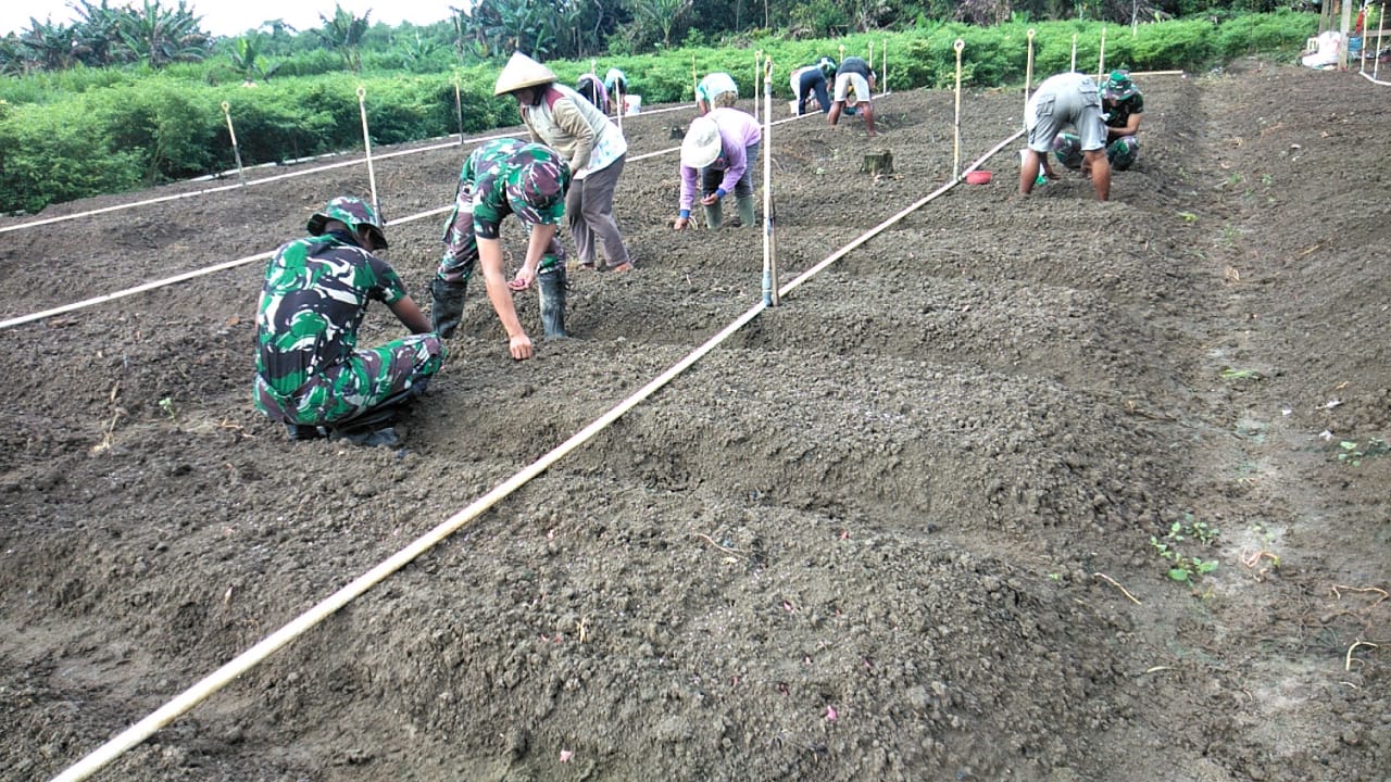 Satgas Raider 300 Bantu Masyarakat Tanam Bawang Merah