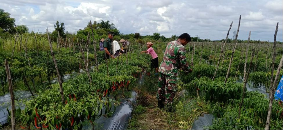 Bersama Para Babinsa Kodim 0104/Atim, Warga Wujudkan Desa Gemah Ripah Loh Jinawi