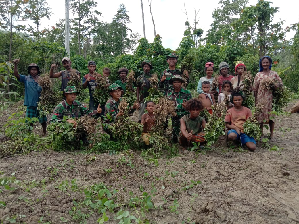 Satgas Yonif RK 136 Ajarkan Suku Mausu Ane Mengolah Lahan Kosong