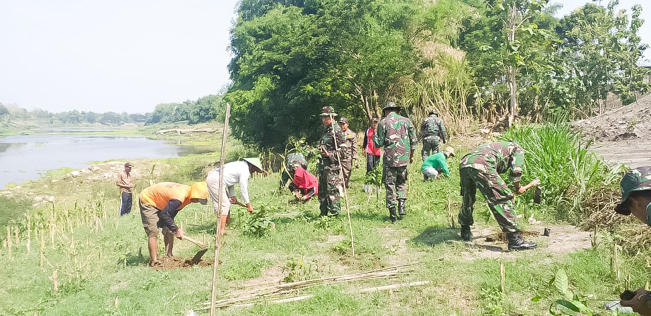 Kodim Bojonegoro Hijaukan Bantaran Sungai Bengawan Solo