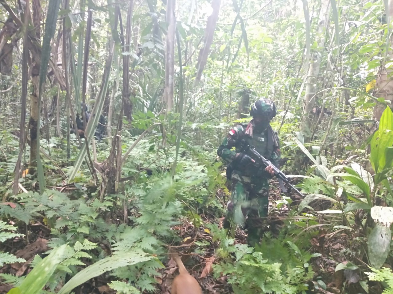 Paripurna Pengejaran Pelaku Penembakan di Skouw