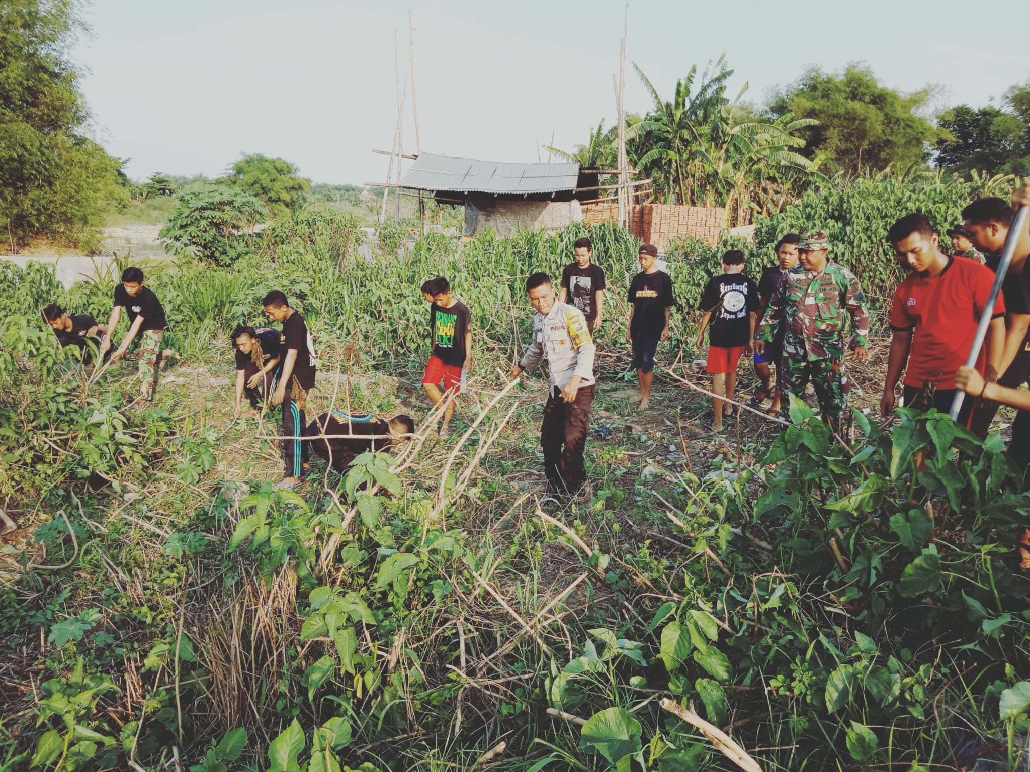 Kodim Bojonegoro Tanam 2000 Bambu di Bantaran Sungai Bengawan Solo