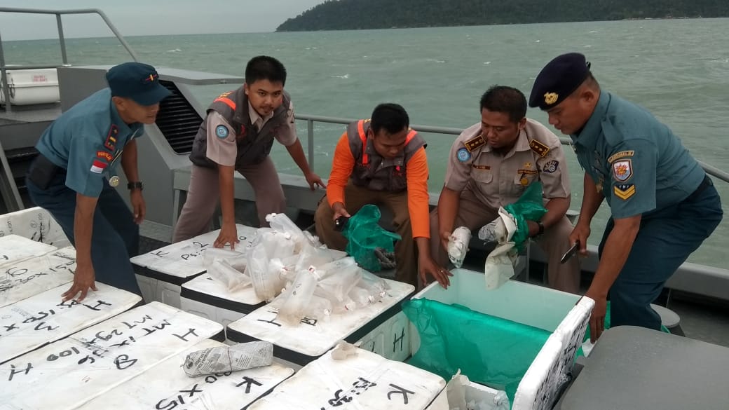 Lanal Tanjung Balai Karimun Berhasil Gagalkan Penyelundupan Baby Lobster Tujuan Singapura