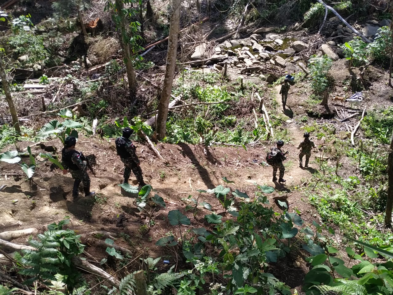 Ciptakan Rasa Aman Suasana Natal Dan Menjelang Tahun Baru, Satgas Raider 300 Patroli Hutan