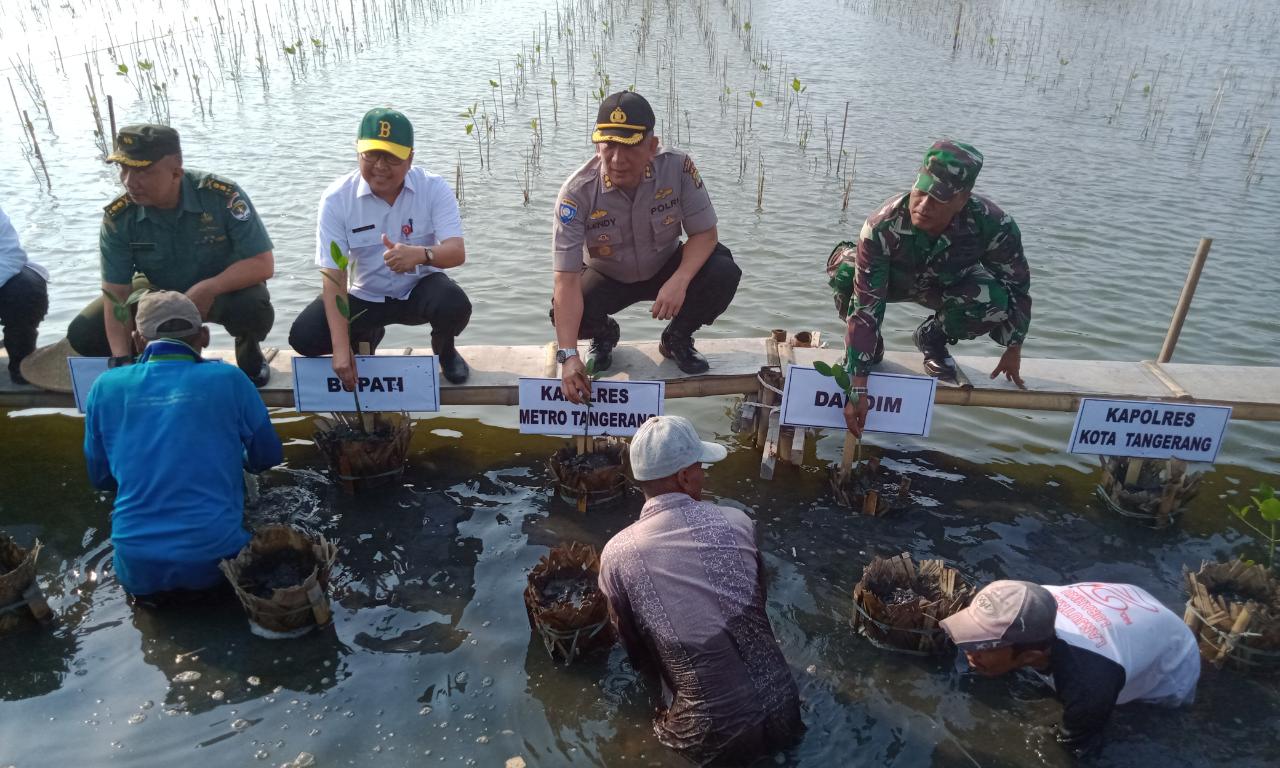 Peringati HUT Kodam Jaya, Kodim 0510/Trs Tanam Mangrove