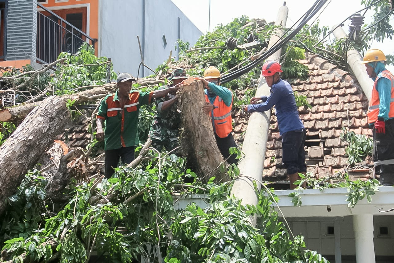 Koramil Bojonegoro Bersama Warga Bersihkan Pohon Tumbang