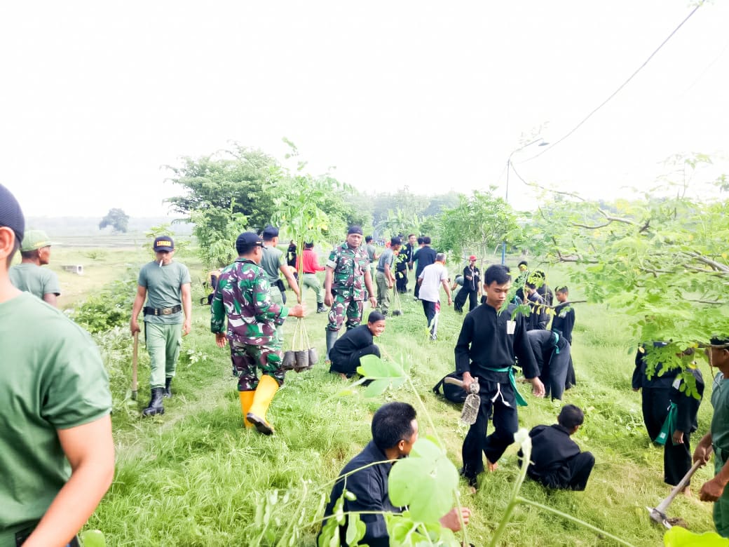 Peduli Lingkungan, Koramil Bubulan Tanam Pohon Trembesi