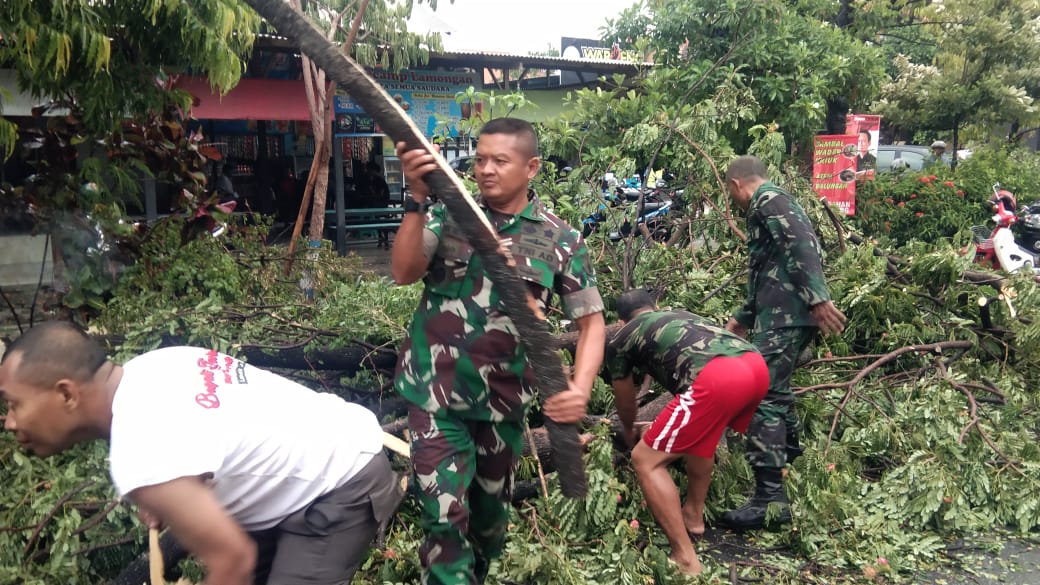 Dandim Lamongan Turun Bantu Singkirkan Pohon Tumbang