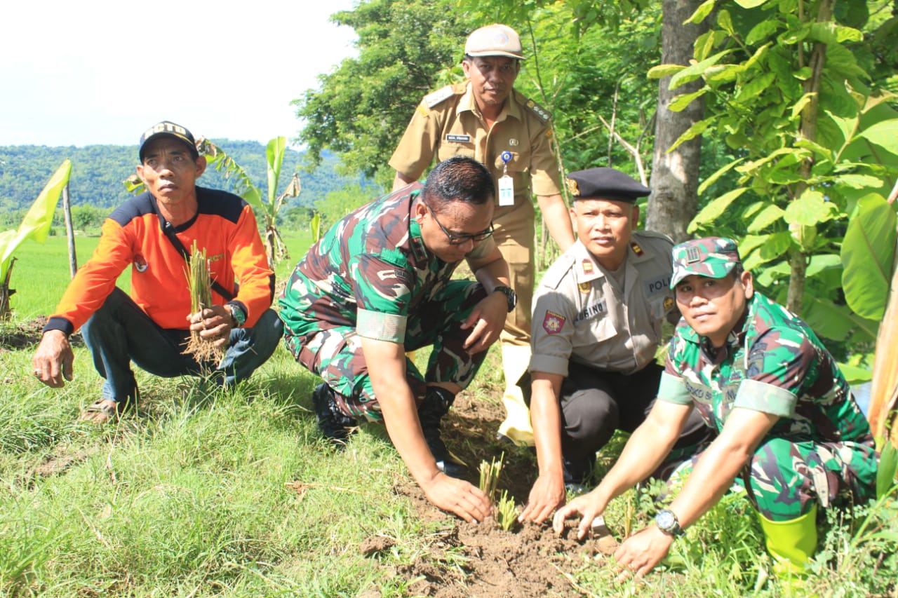 Dandim Klaten Beri Perhatian Khusus Tanam Vertiver dalam Mitigasi Bencana