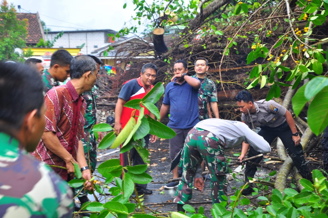 Dandim 0808/Blitar Pimpin Langsung Pembersihan Pohon Tumbang