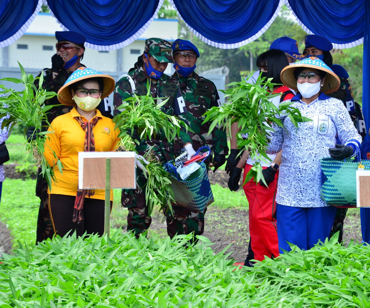 Program Ketahanan Pangan, Ketua Umum Jalasenastri Panen Raya