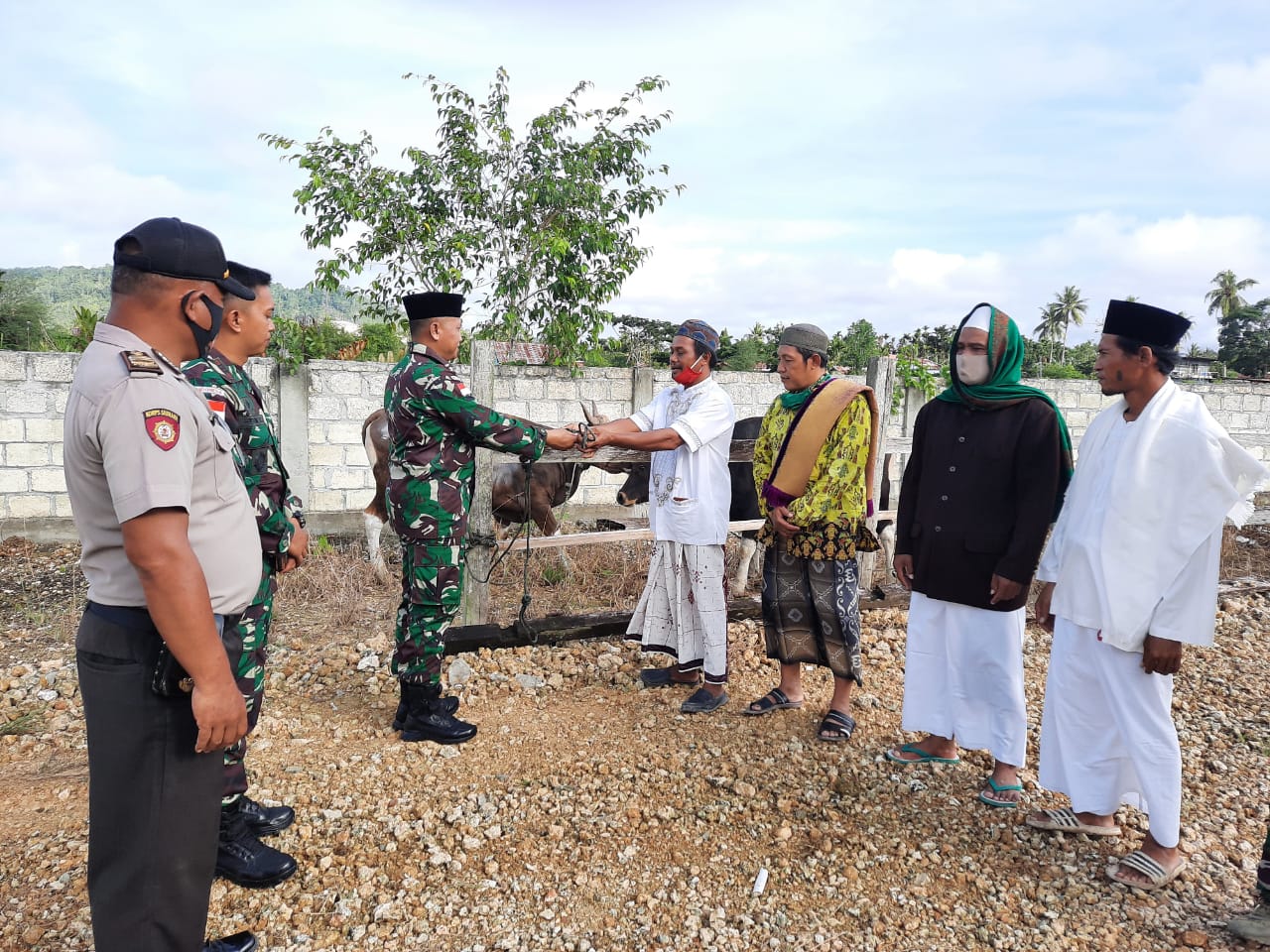 Dansatgas Yonif 413 Bremoro Sumbang Sapi Qurban ke Masjid Arso