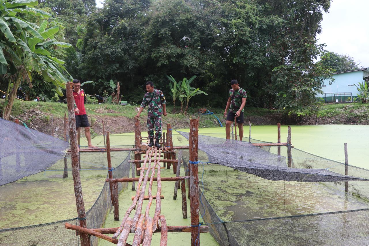 Manfaatkan Lahan Kosong, Dandim Sintang Budidaya Ikan Lele