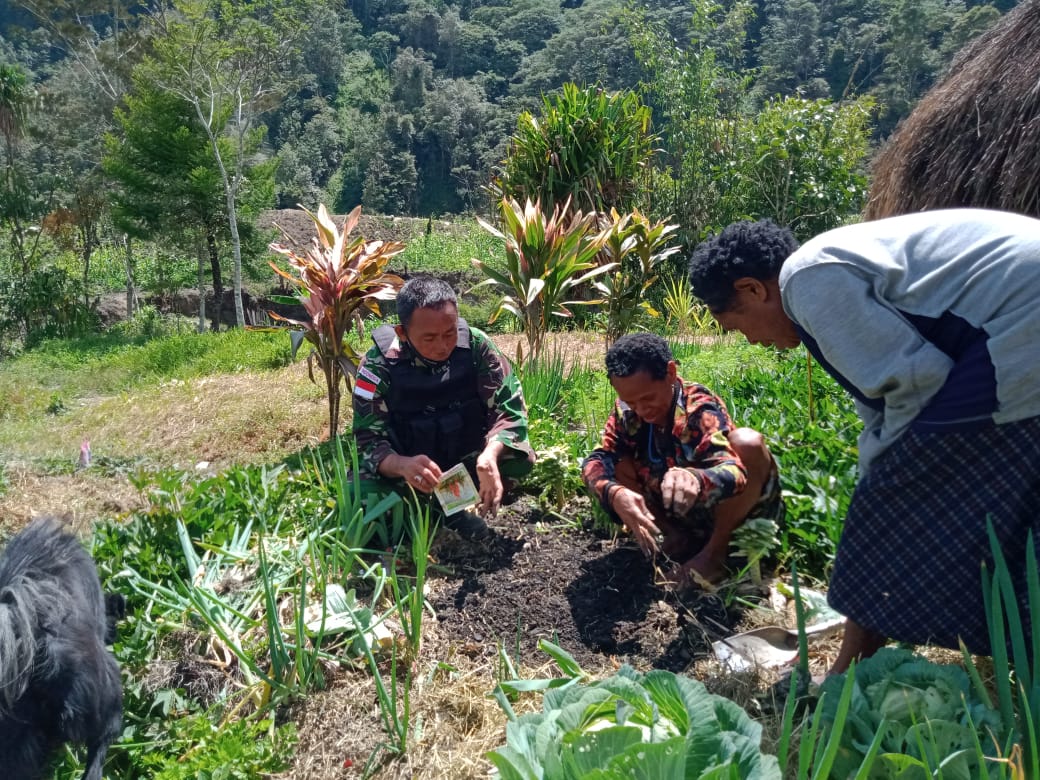 Satgas Pamrahwan Yonif Para Raider 432/WSJ Tingkatkan Ketahanan Pangan