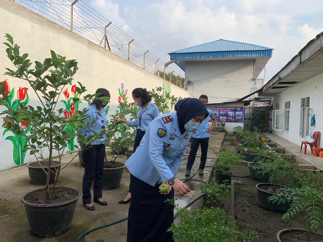 Inovasi Karutan Perempuan Kelas II Medan, Sulap Brandgang Jadi Lahan Produktif Ketahanan Pangan