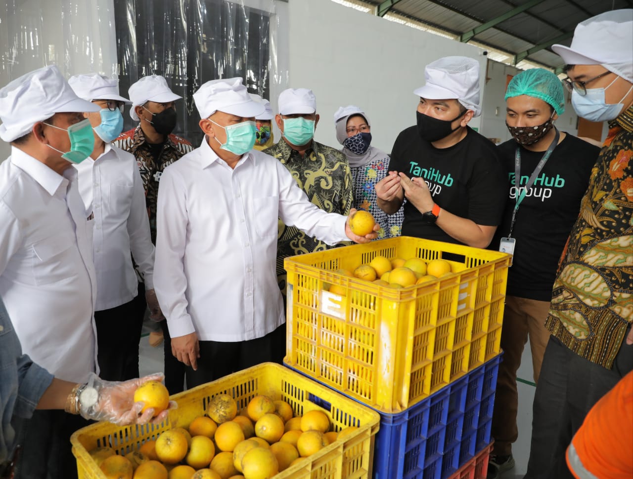 MenkopUKM Perkuat Kemitraan Koperasi Dengan TaniHub Dalam Menyerap Hasil Pertanian