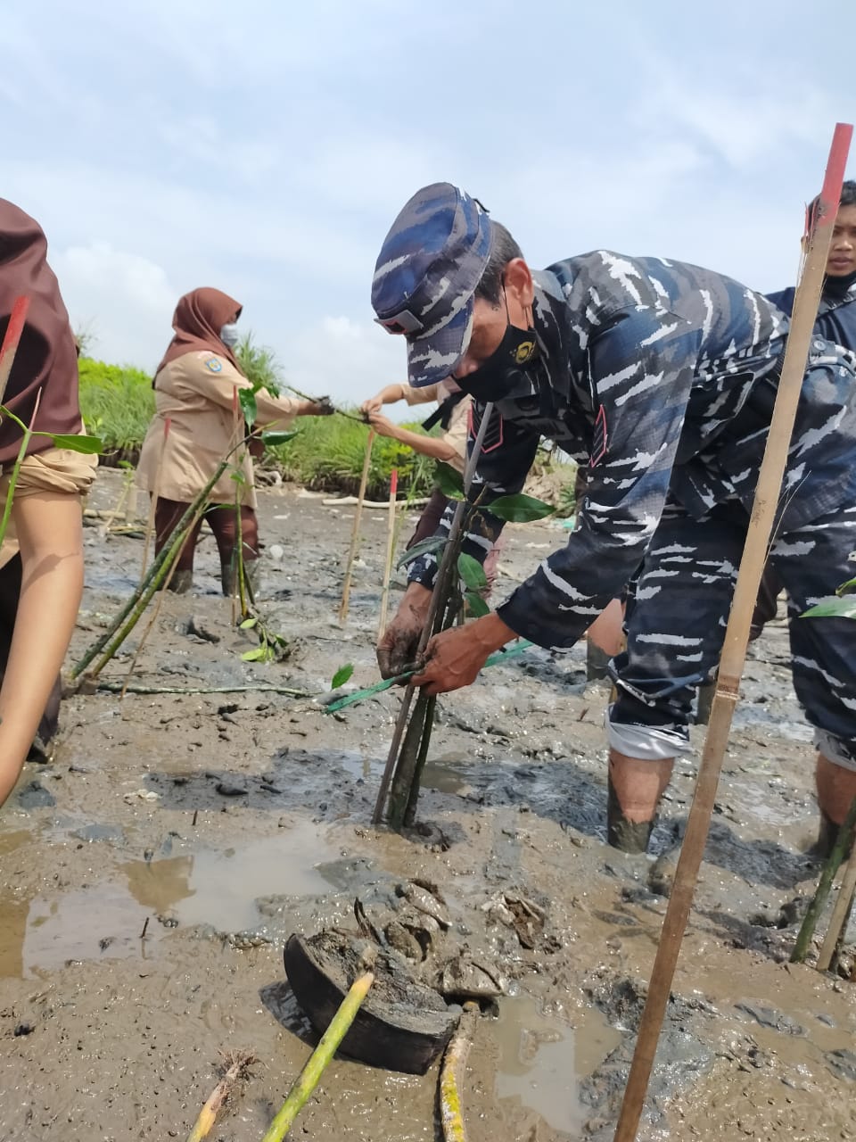 Posal Samas Lanal Yogyakarta, Pupuk Cinta Tanah Air Saka Bahari Kwarcab Bantul Tanam Mangrove