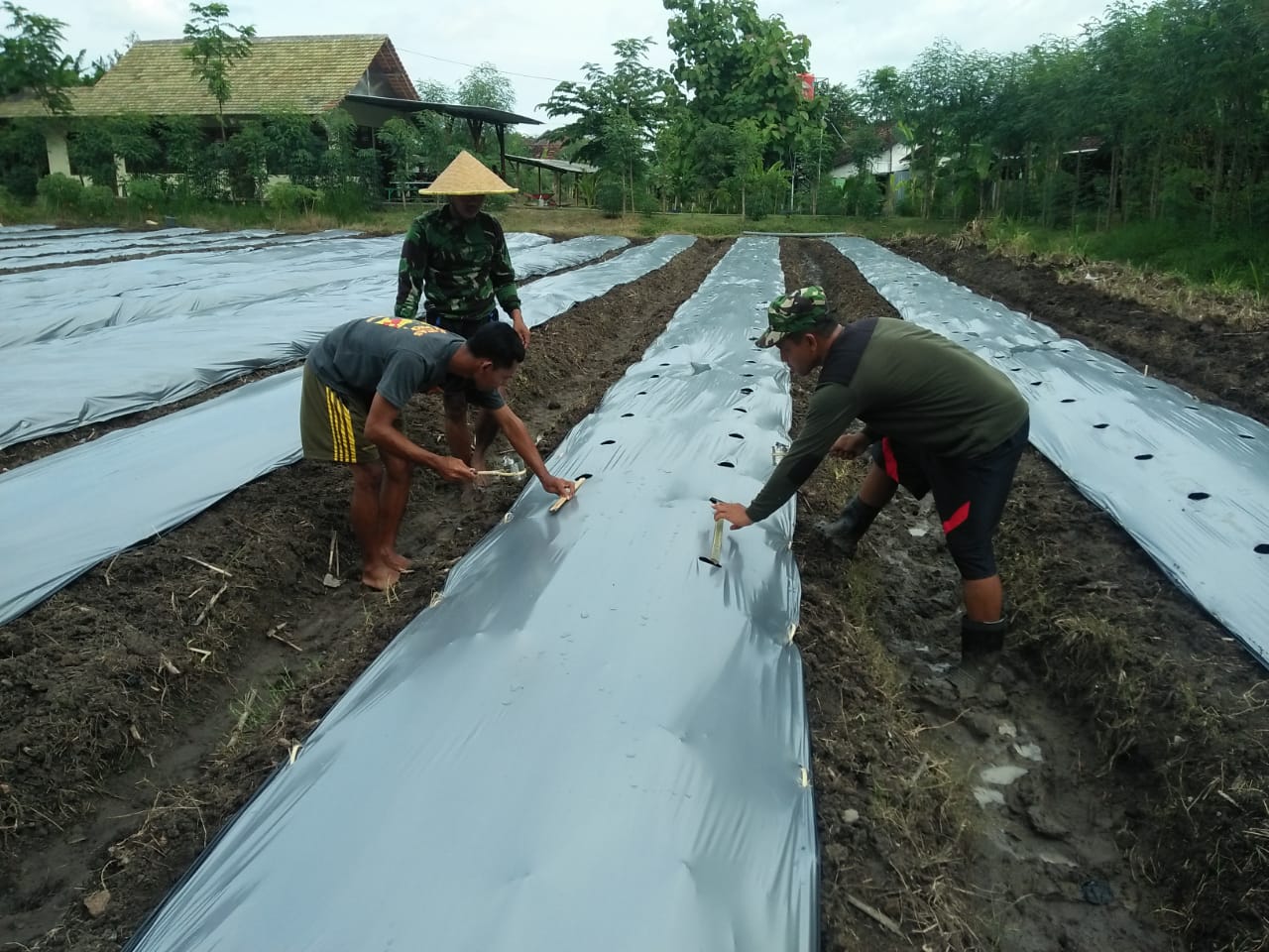 Korem 081/DSJ Siap Olah Lahan Tidur Menjadi Lahan Pertanian