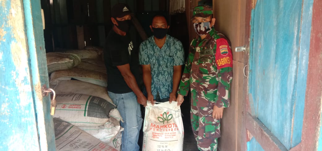 Personel Jajaran Kodim 0208/Asahan Supervisi Bantuan Bibit Jagung Dinas Pertanian Provinsi