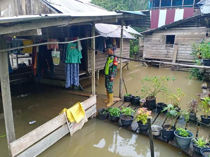 Peduli Warga Terdampak Banjir, Babinsa Bangum Lakukan Monitoring Wilayah