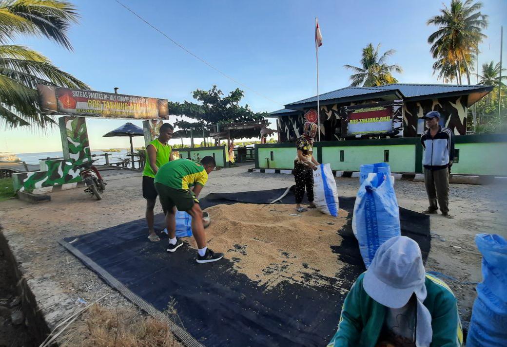 Satgas Yonarhanud 16 Kostrad Pos Tangjung Aru Bantu Masyarakat Tingkatkan Kualitas Produksi Beras