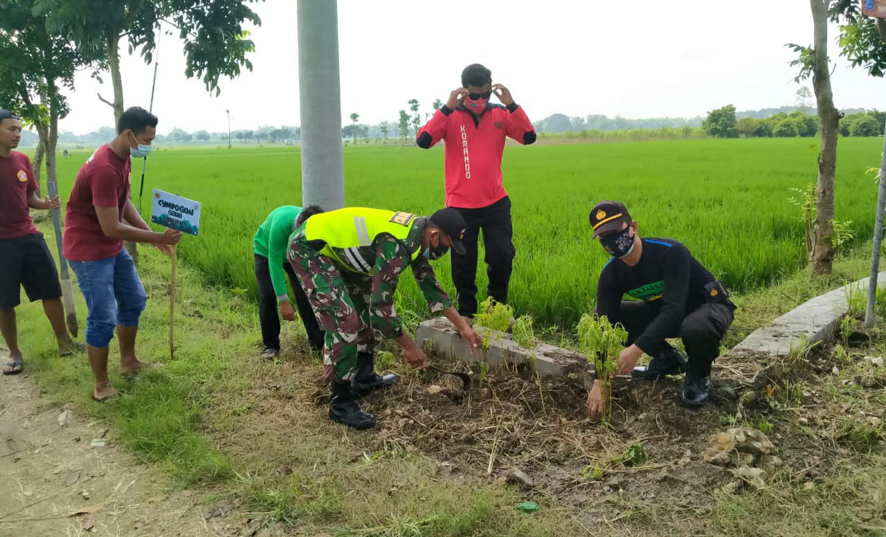 Koramil Trucuk, Bersama Pemdes Tulungrejo Karya Bakti Tanam Bunga Pencegah Hama Padi