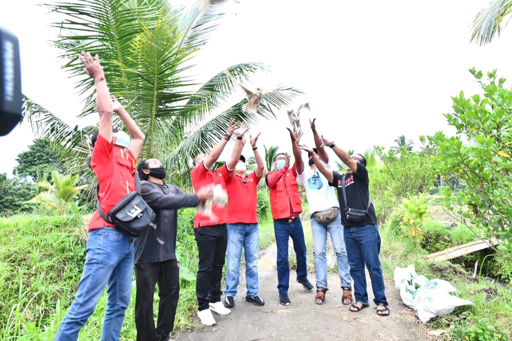 Bersama SOKSI Bamsoet Lepas Burung Hantu Basmi Hama Tikus di Tabanan Bali