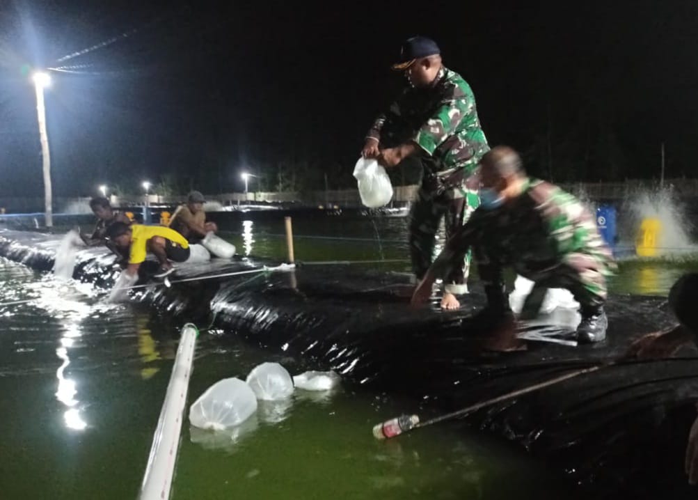 Danlanal Tegal dan Perangkat Desa Tebar Benih Udang Vaname