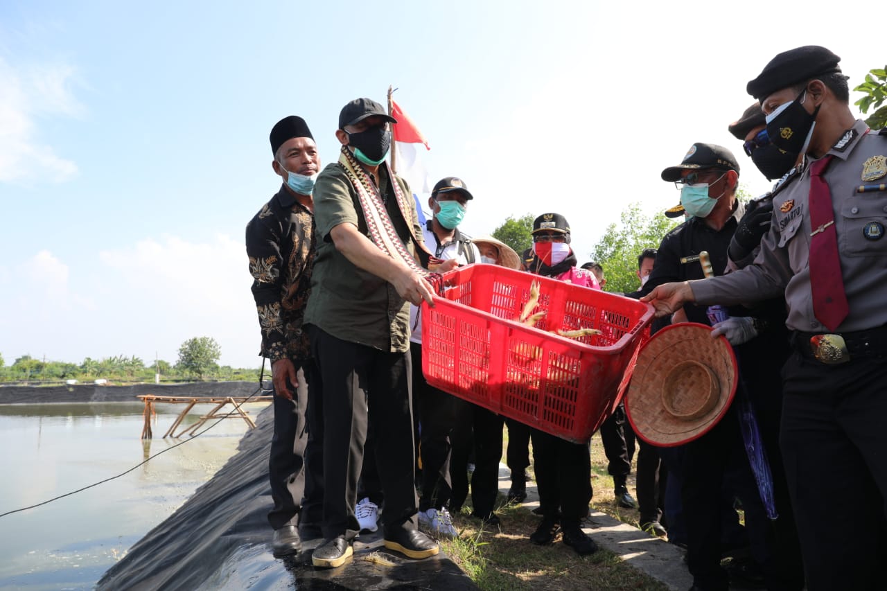 MenkopUKM Dorong Pengembangan Tambak Udang Dipasena Melalui Koperasi dan Kemitraan