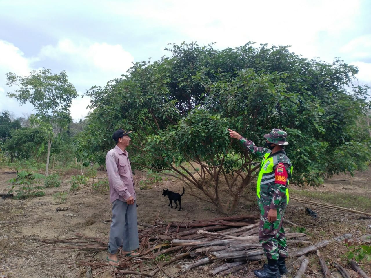 Satgas TMMD Natuna Sambangi Kebun Buah Milik Pensiunan Guru SD