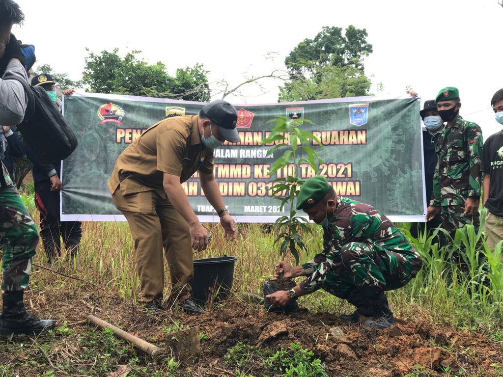 Meningkatkan Kesejahteraan Masyarakat, Satgas TMMD Mentawai Tanam Bibit Buah Berkualitas