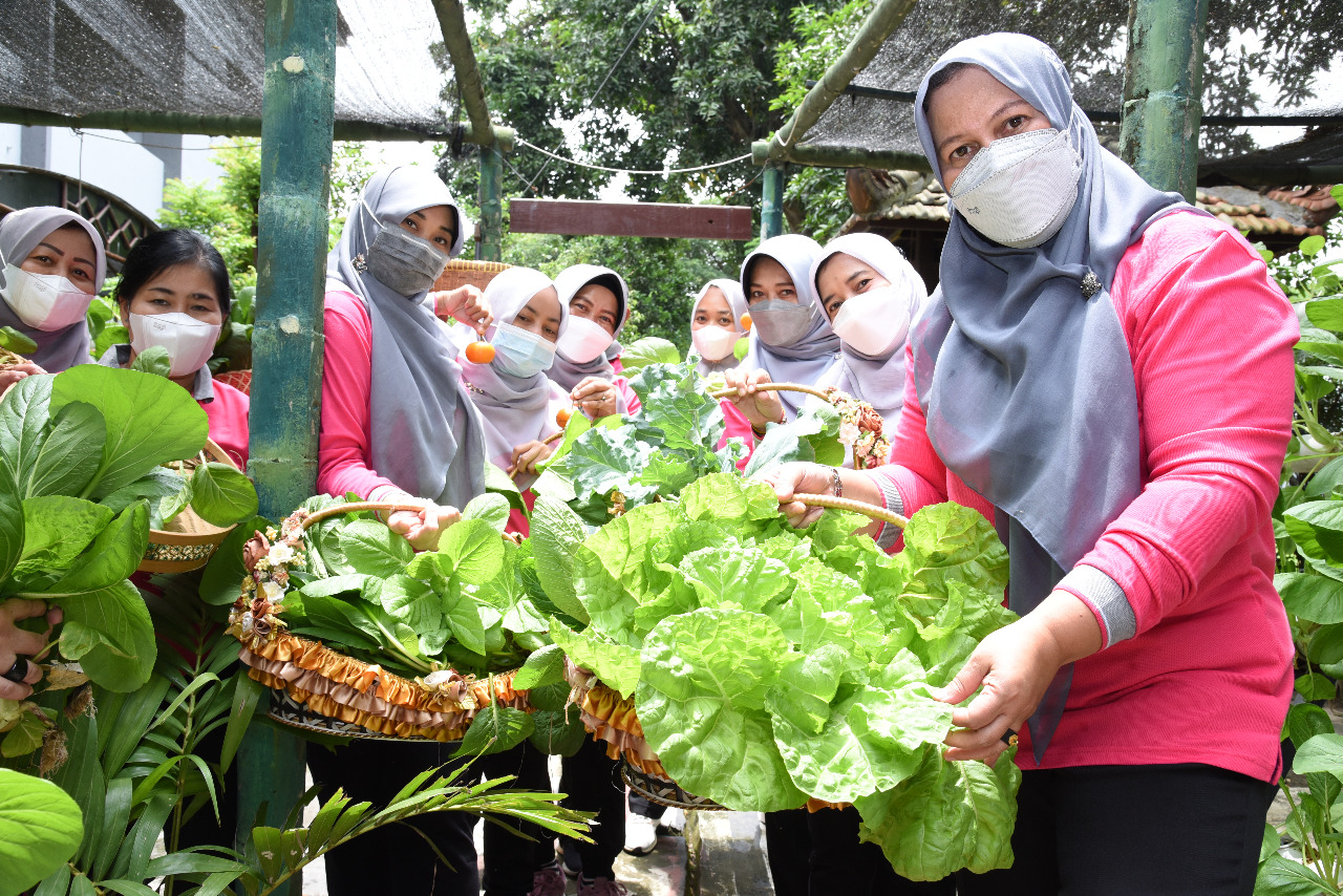 Panen Sayur Hidroponik Karya Pengurus CBS Jalasenastri AAL Berlanjut