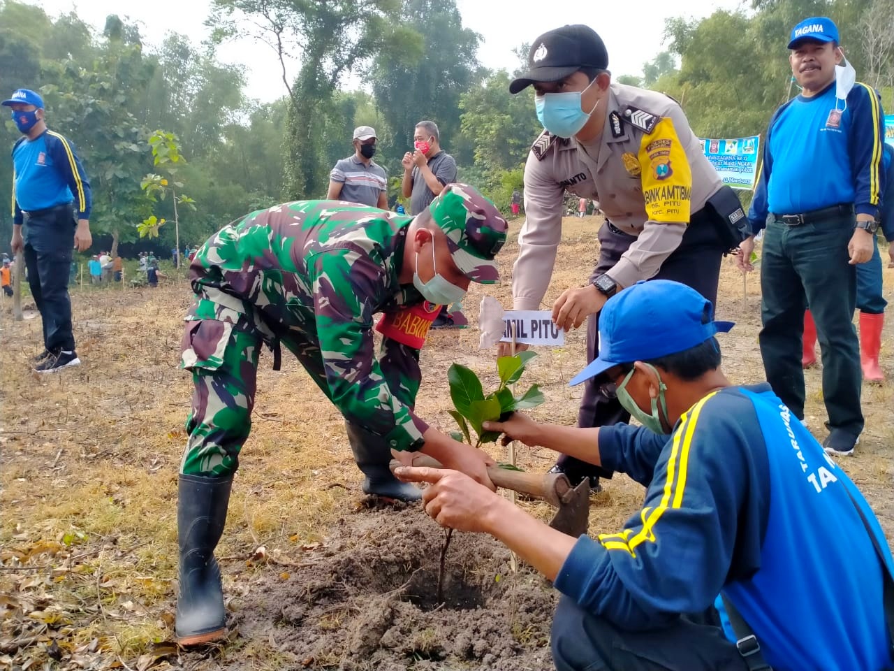 Lestarikan Lingkungan, Anggota Posramil Pitu Bersama Relawan Tagana Tanam Pohon