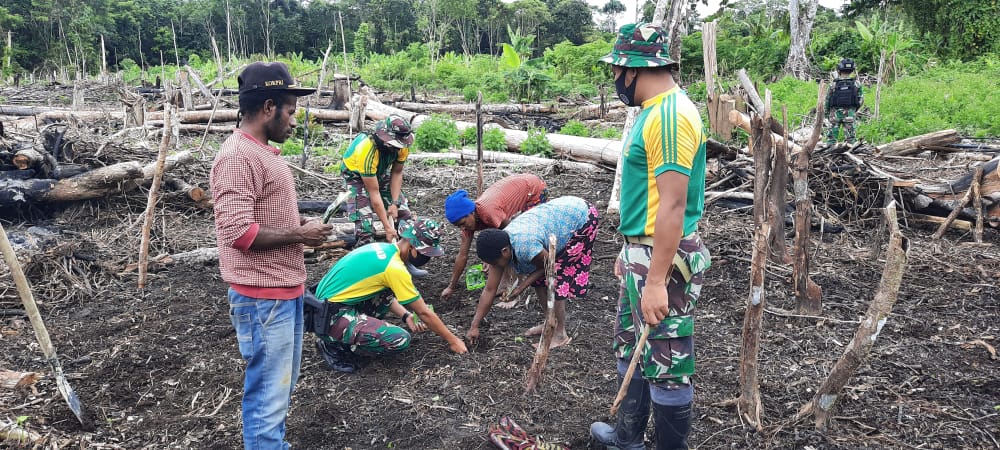 Satgas Yonif Para Raider 432 Kostrad Manfaatkan Lahan Tidur