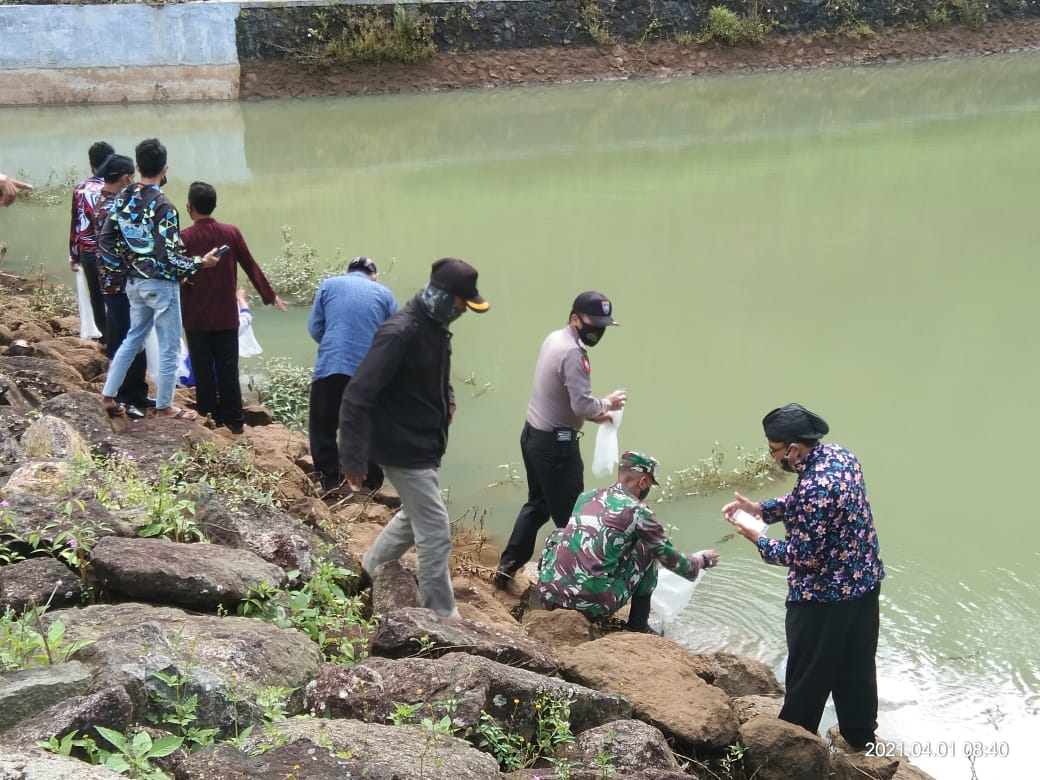 Lestarikan Ekosistem Embung Tambong, Tiga Pilar Desa Pule Lepas 5.000 Benih Ikan Tombro