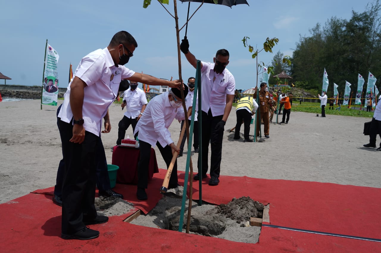 Mitigasi Dampak Tsunami, Wapres RI Tanam Pohon di Pariaman