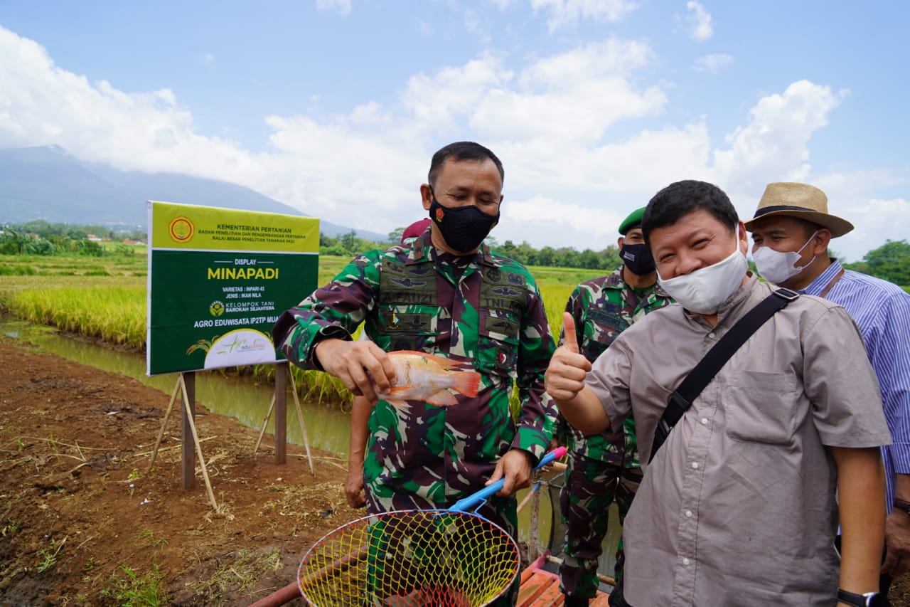 Program Ketahanan Pangan, Danrem 061/SK Support Petani Milenial