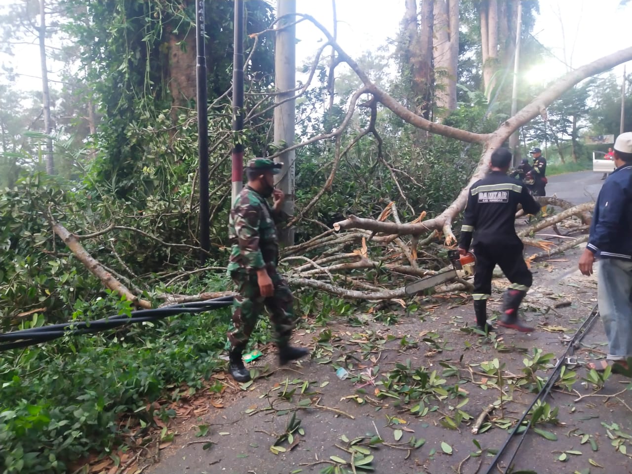 Cepat dan Sigap, Anggota Koramil 1515/Cigugur Tangani Pohon Tumbang di Jalan