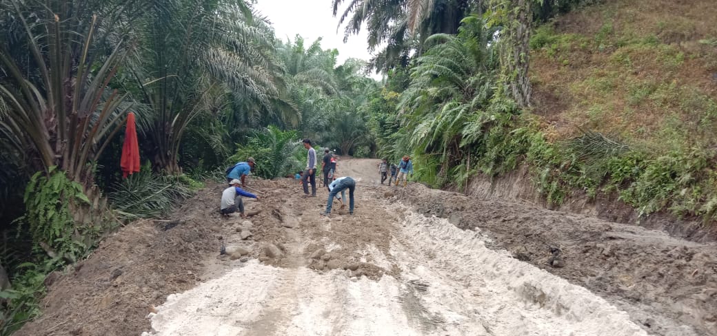 Begini Antusiasnya Warga Bantu Ratakan Badan Jalan di Lokasi TMMD Kodim 0204/DS