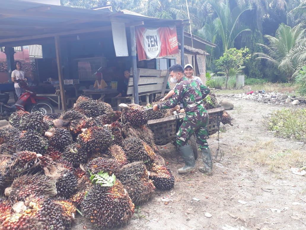 Satgas TMMD Kodim 0204/DS Bantu Warga Angkut Sawit