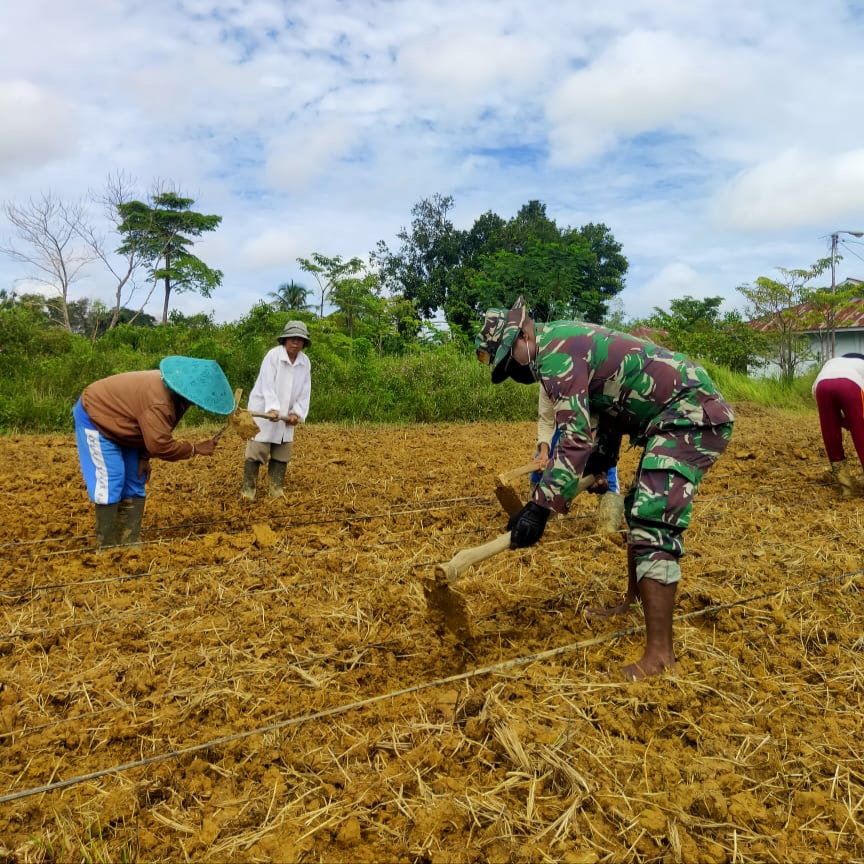 Dukung Food Estate, Satgas Pamtas Yonif Mekanis 643/Wns Ajak Masyarakat Ikut Serta Jamin Ketahanan Pangan Indonesia