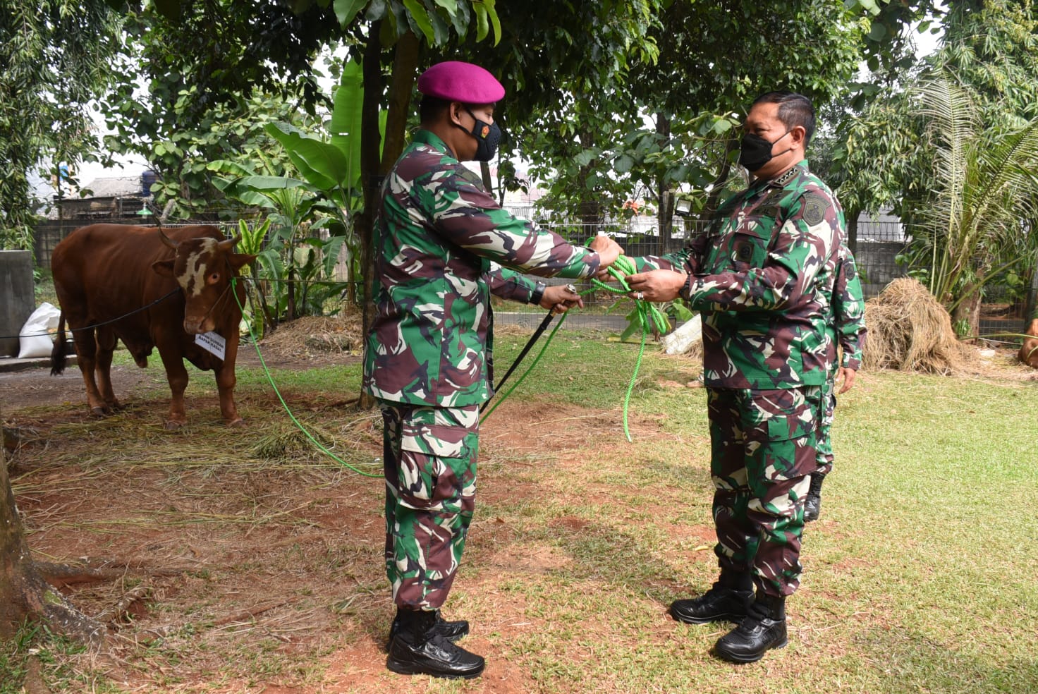 Sambut Peringatan Hari Raya Idul Adha, Kasal Serahkan Hewan Qurban