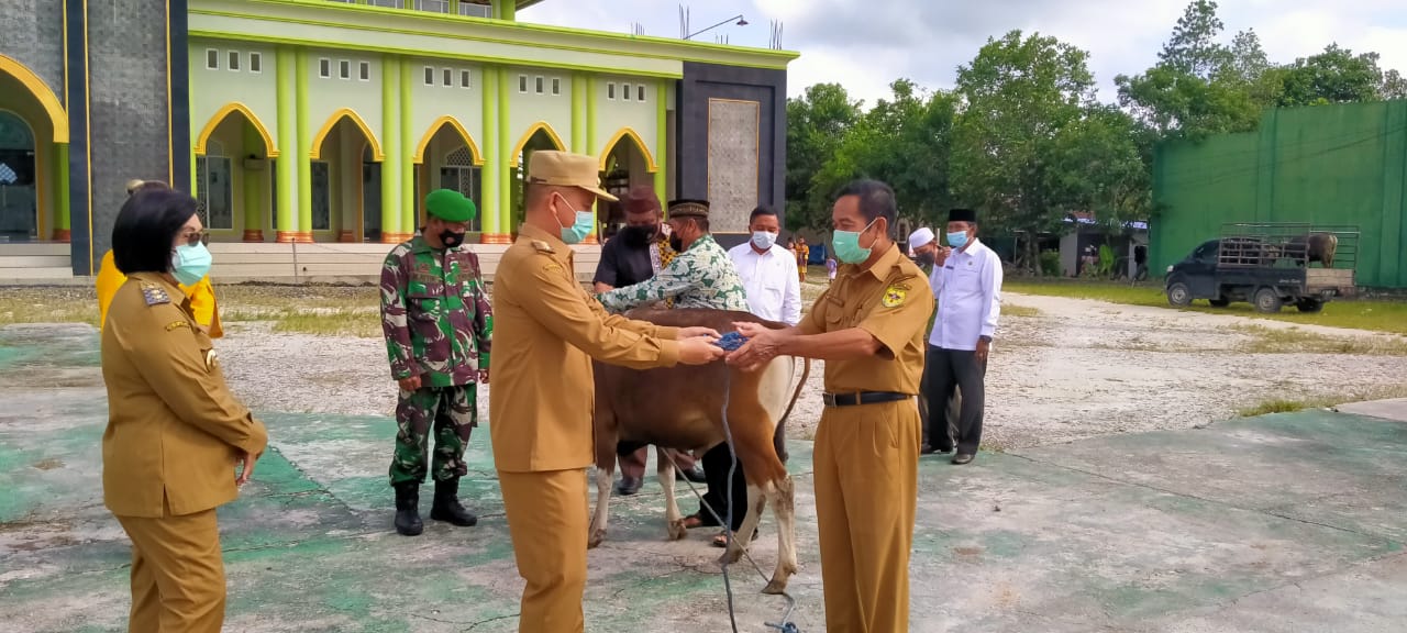 Pabung Dampingi Penyerahan Hewan Kurban Bersama Bupati Gunung Mas