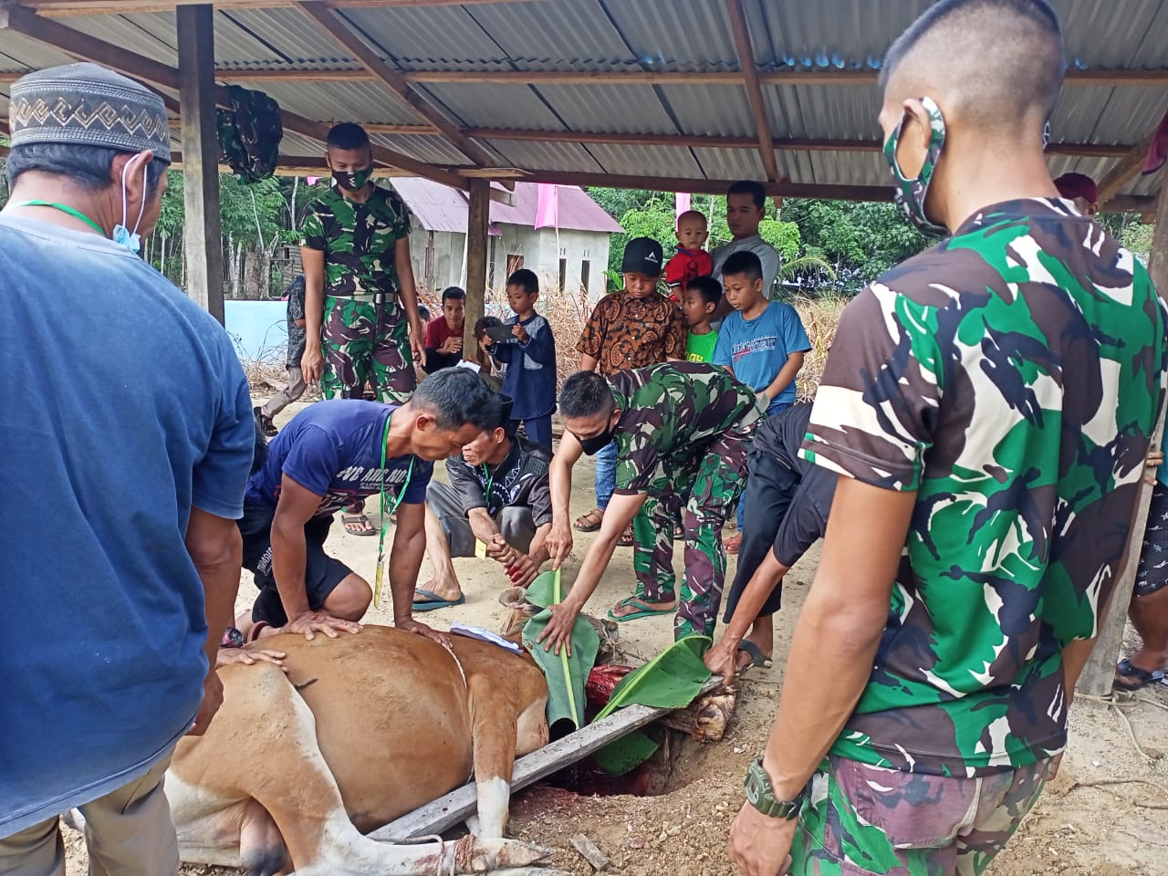 Peringati Idul Adha, Satgas Pamtas Yonif Mekanis 643/WNS Bersama Aparat Desa Lakukan Protkes dan Bantu Pemotongan Hewan Kurban di Perbatasan