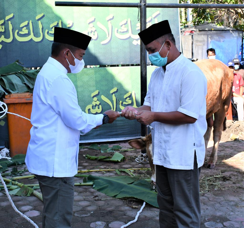 Pangdam I/BB Beserta PJU Qurbankan Sapi dan Kambing