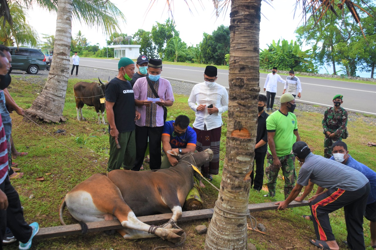 Hari Raya Idul Adha 1442 H, Kodam Kasuari Potong 12 Ekor Sapi