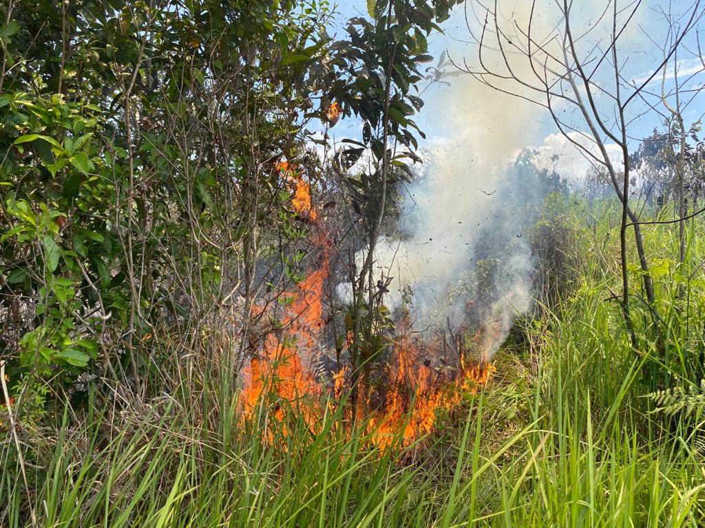 Karhutla Seluas 1,6 Ha di Wilayah Penajam Paser Utara Berhasil Padam