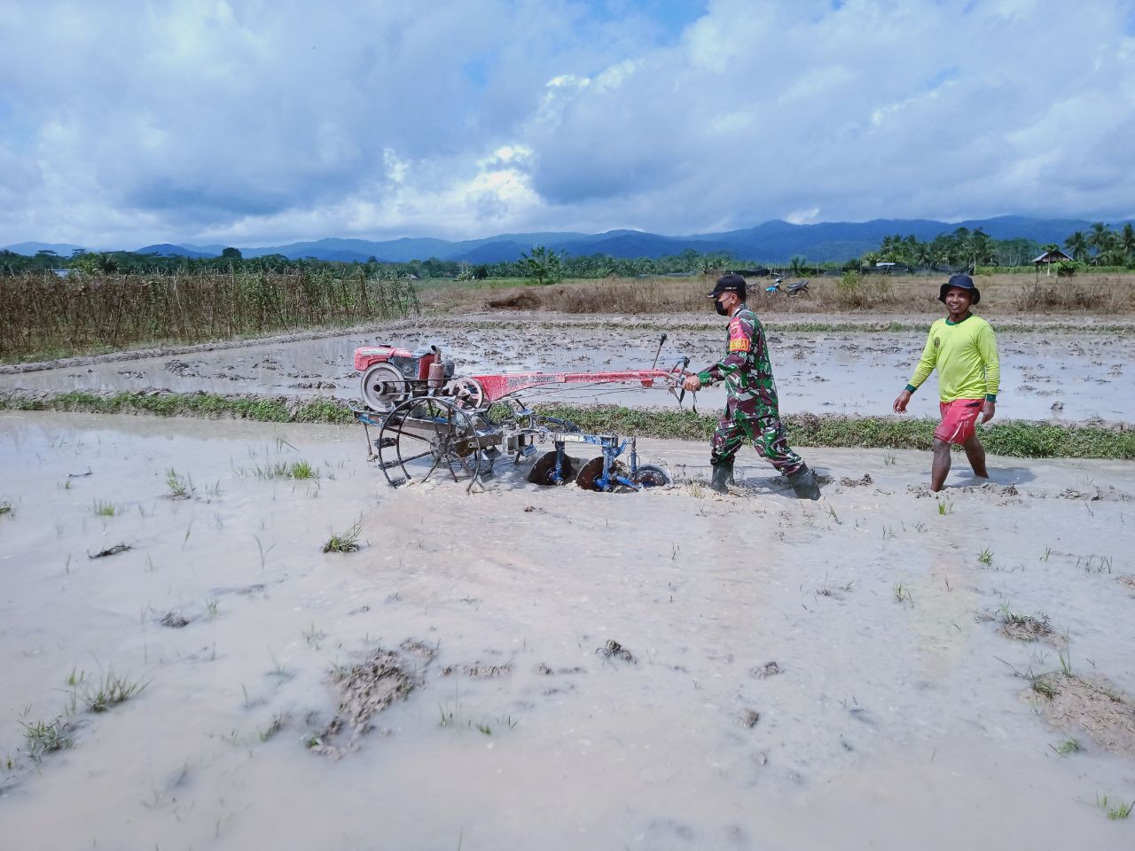 Berikan Semangat Petani, Babinsa Kodim Kendari Bantu Membajak Sawah di Tengah Covid-19