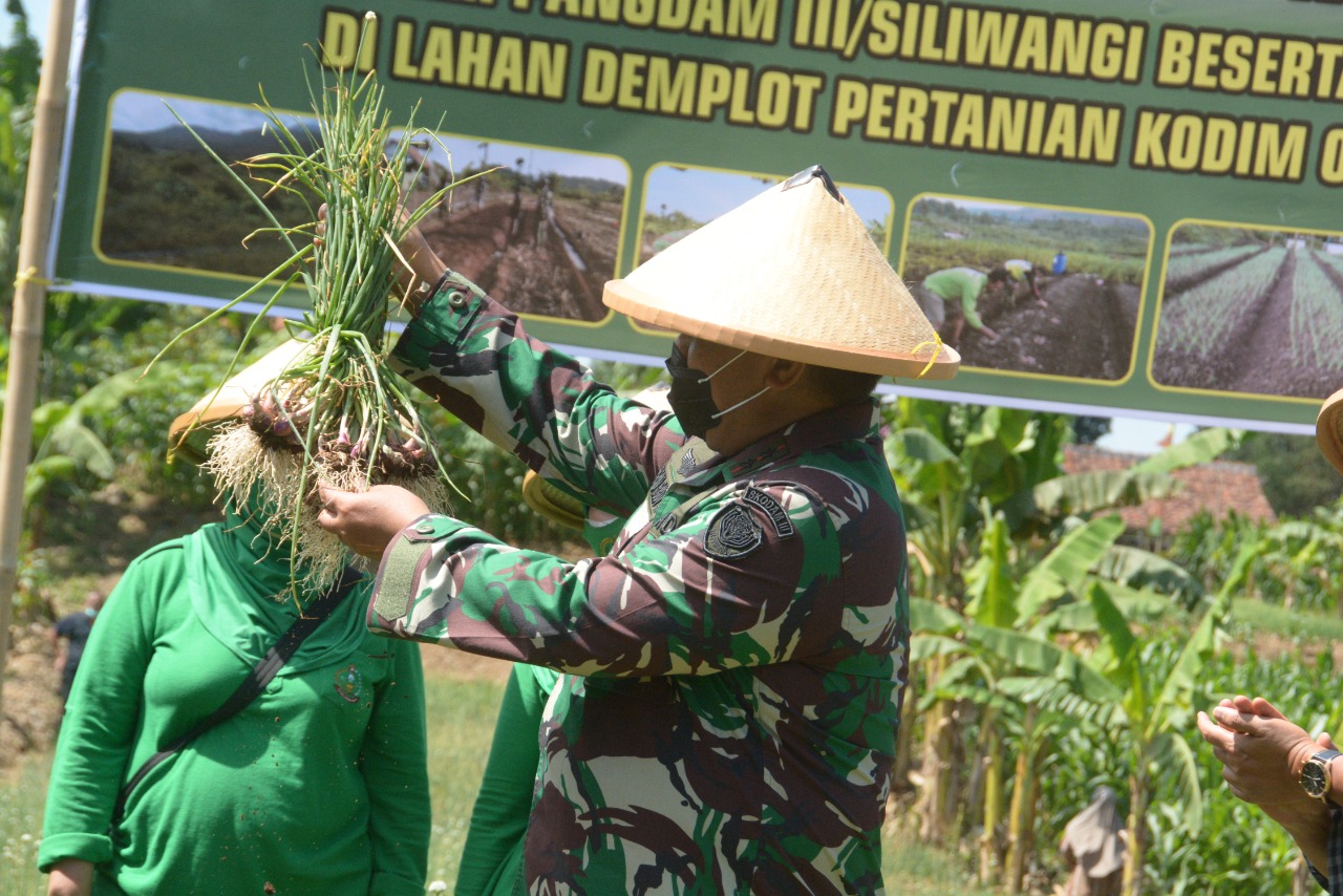 Pangdam III/Siliwangi : Dengan BIOS 44, Tanah Bekas Galian C Dirubah Menjadi Lahan Yang Hijau Dan Subur